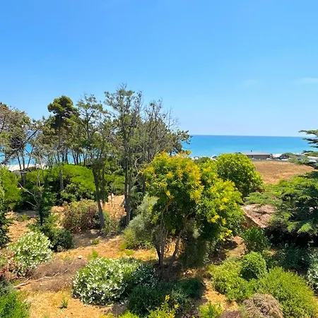 Montecristo * Aléria