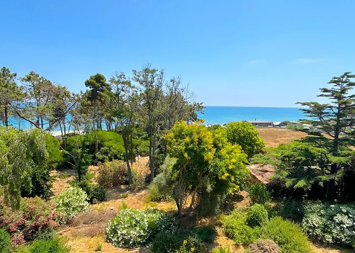 Montecristo * Алерия