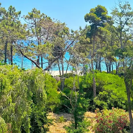 Montecristo * אלריה