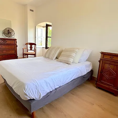 Montecristo アレリア