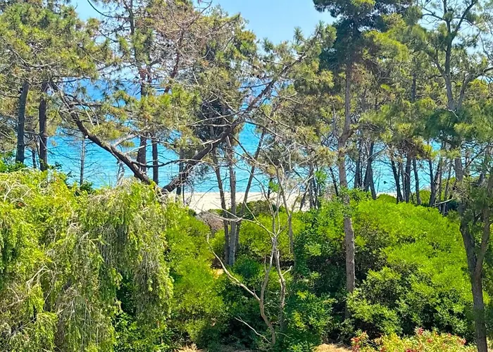 Montecristo * Aléria